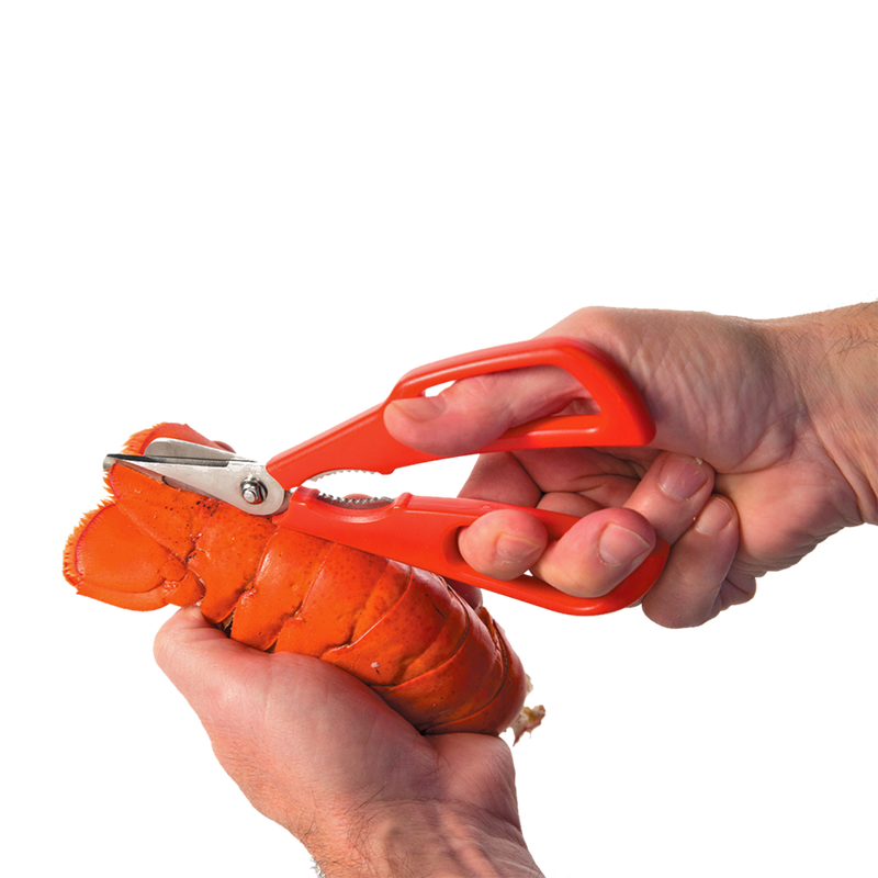 Edge Design Seafood Shears detachable - Red