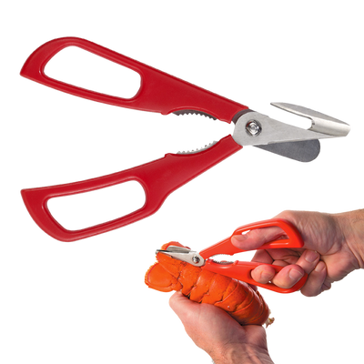 Edge Design Seafood Shears detachable - Red