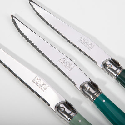 ANDRE VERDIER - DEBUTANT SERRATED KNIFE SET/6 KNIFE STAINLESS STEEL/FOREST