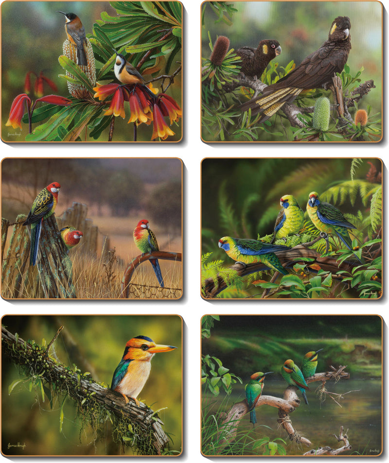 Cinnamon Native Heritage Placemats Set of 6